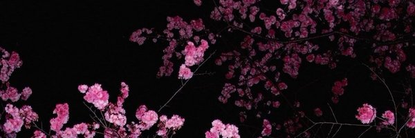 shinygenius Profile Banner