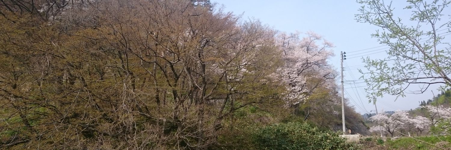 SarielCool's profile banner image