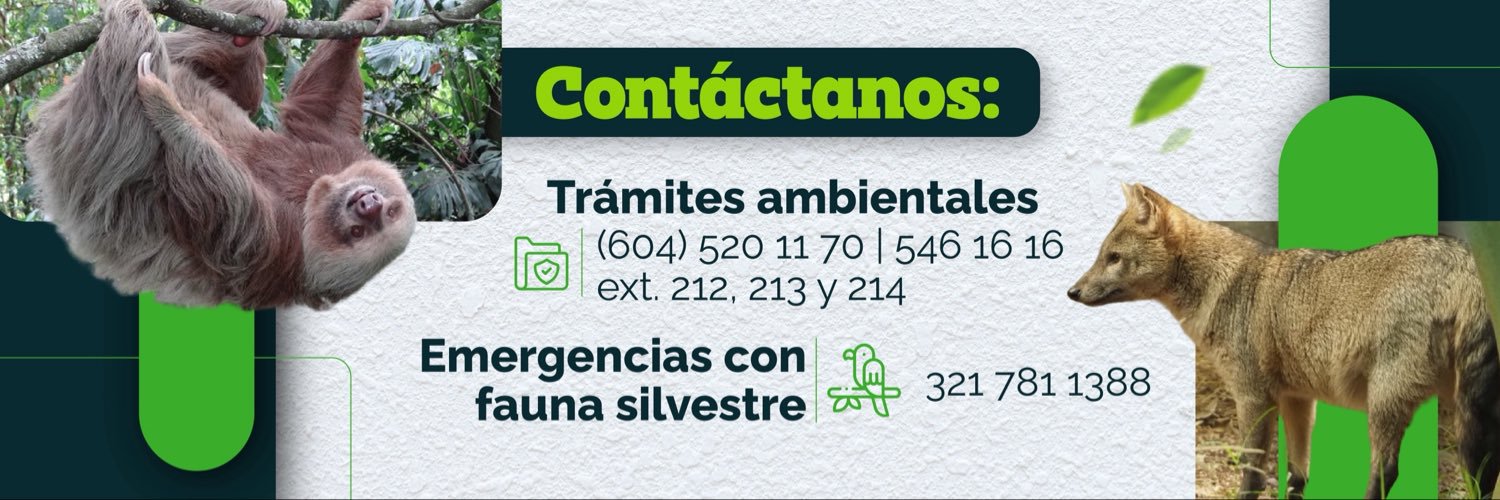Cornare banner