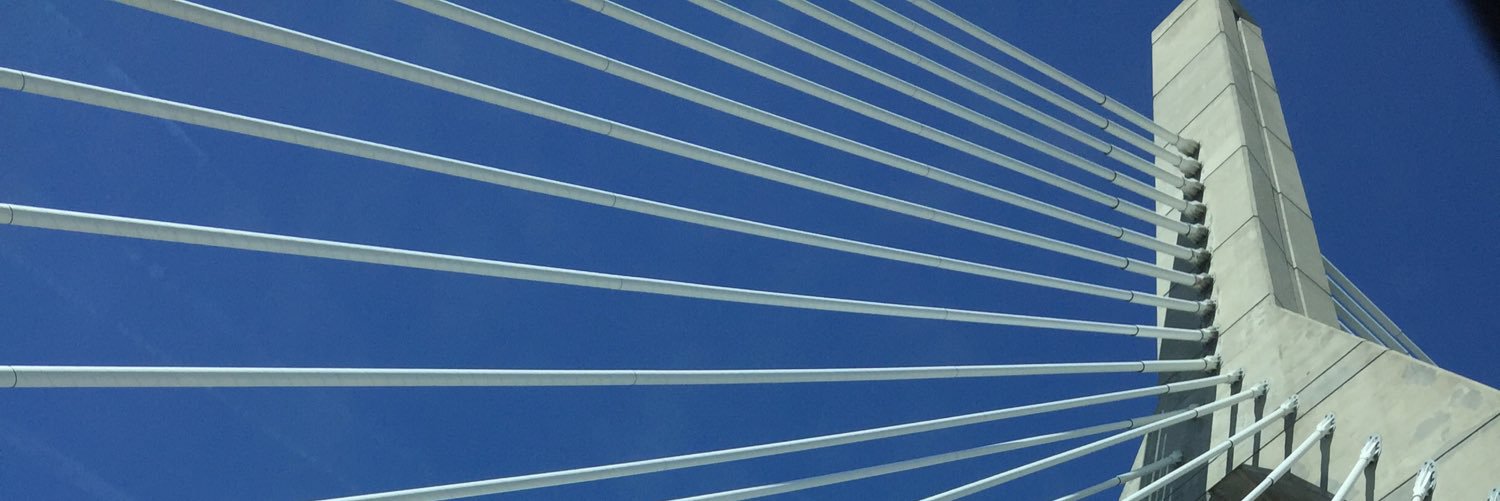 MPCapasso's profile banner image