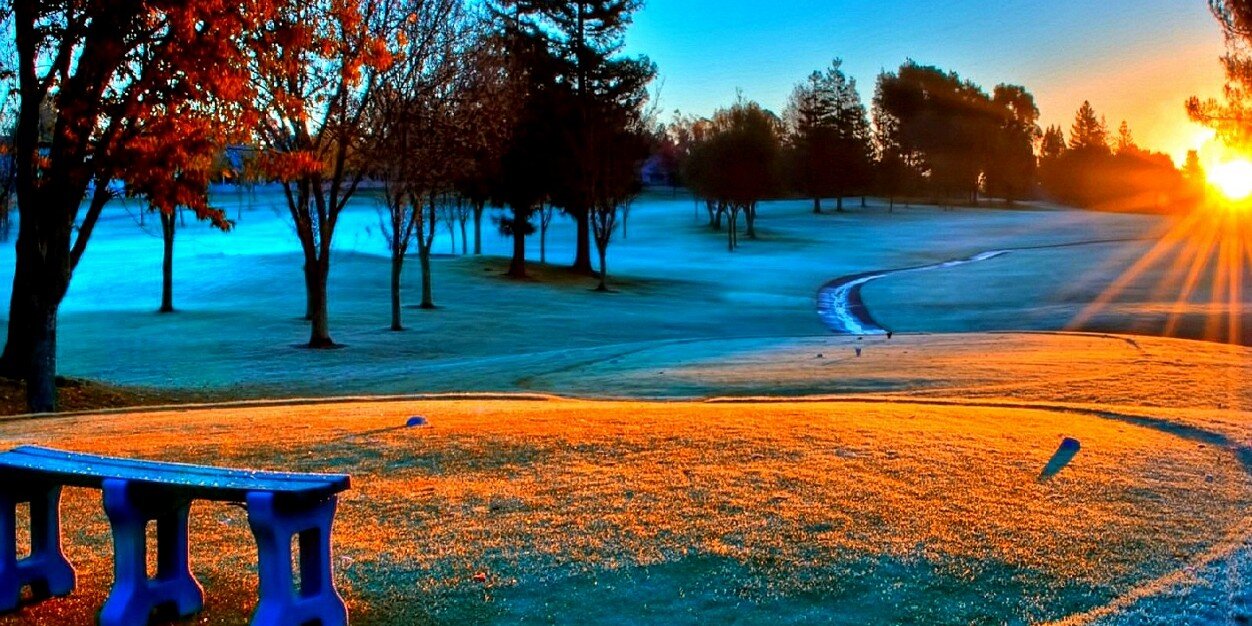 sweet_prose's profile banner image