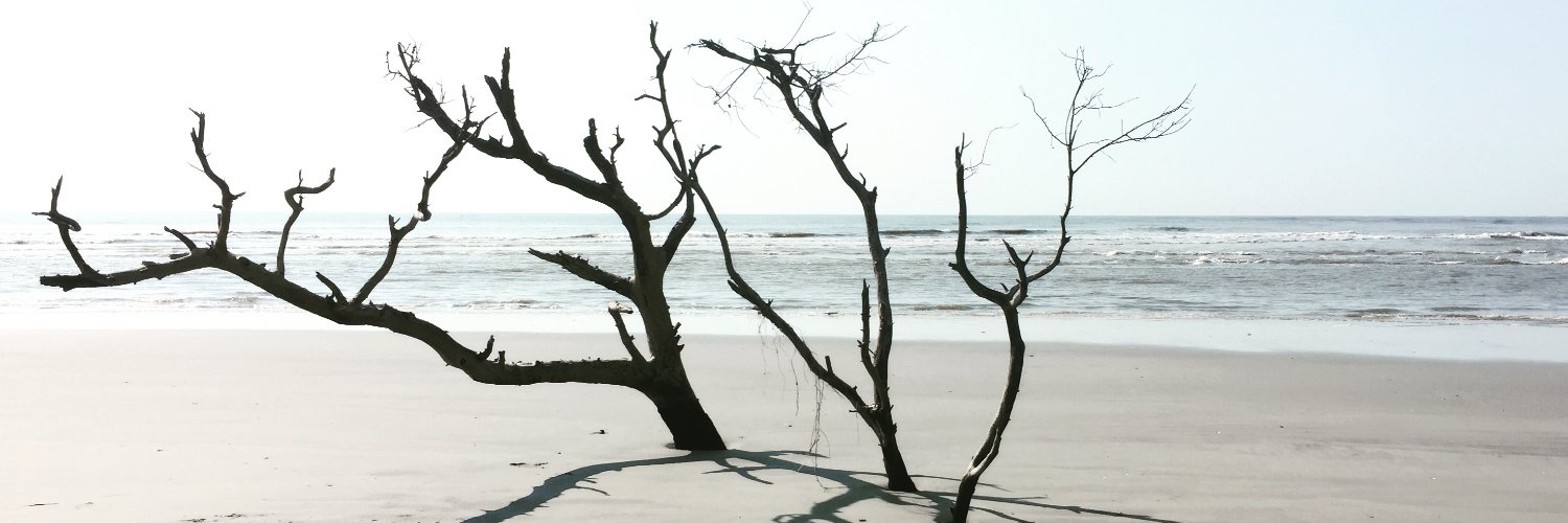 Jackie Adkins banner