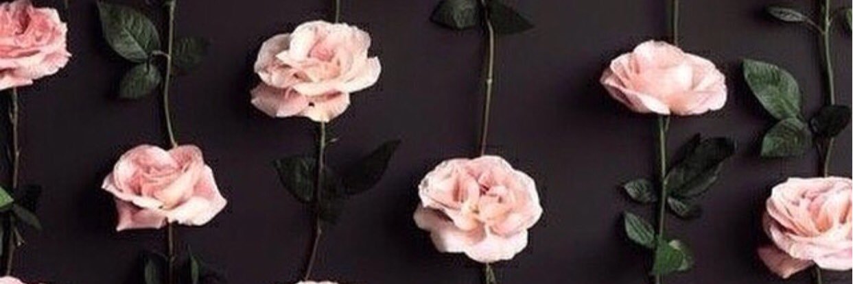 MayarMohaamed's profile banner image