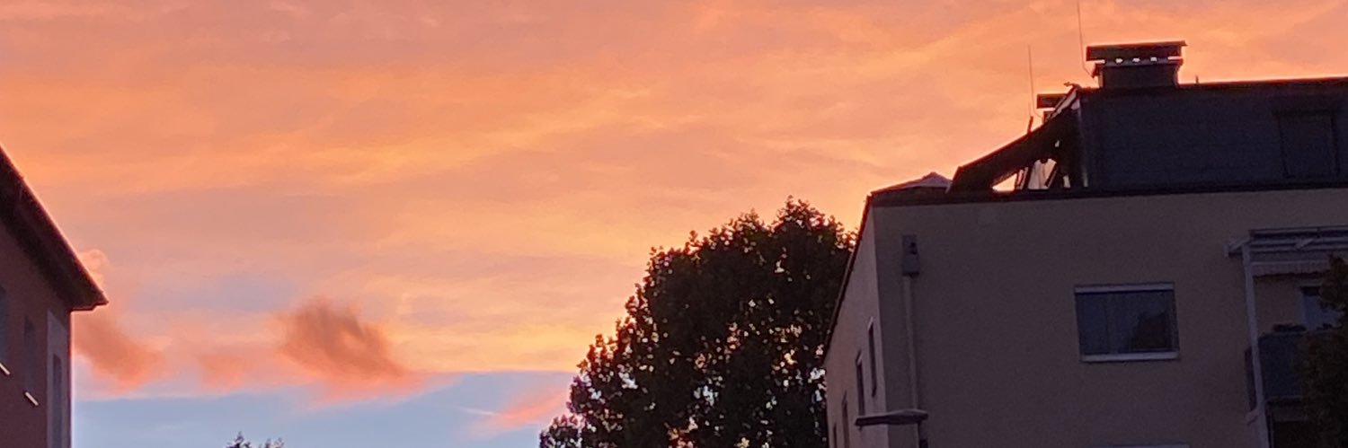 salmassayad's profile banner image