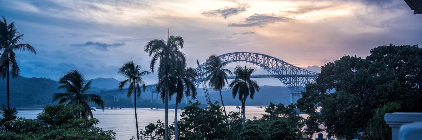 Brent Allen Thale banner