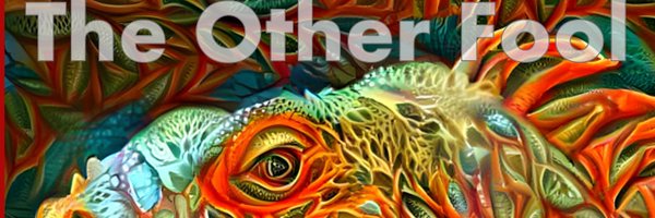 other_fool Profile Banner