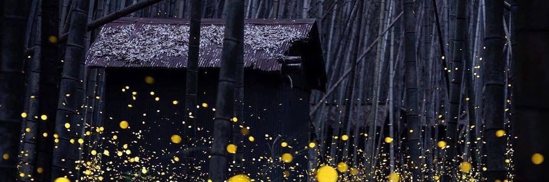 Alkwys1's profile banner image