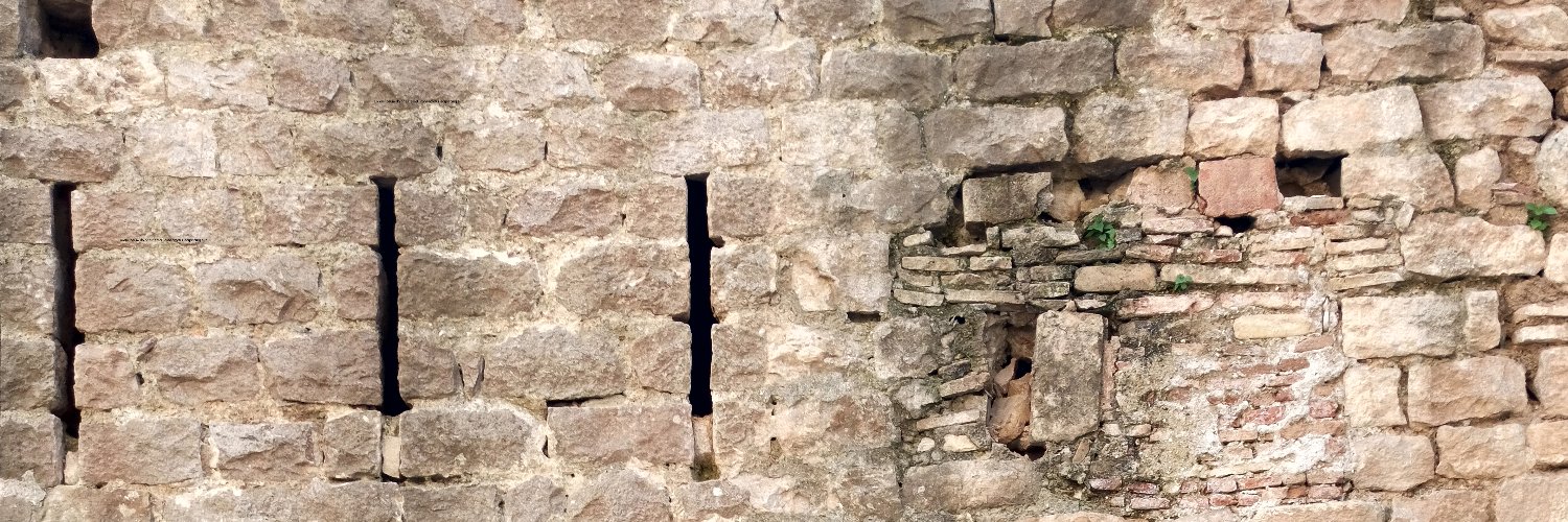 Associació Castell de Bellvís a la Torrassa banner