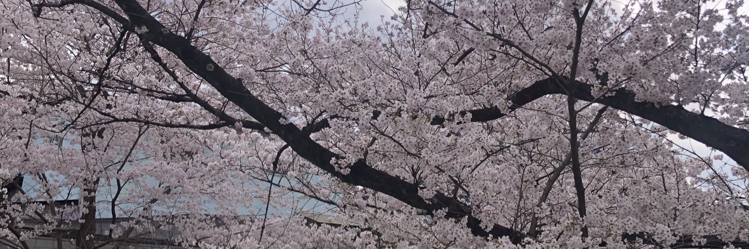 一の橋世京(いちのはし せきょう) banner