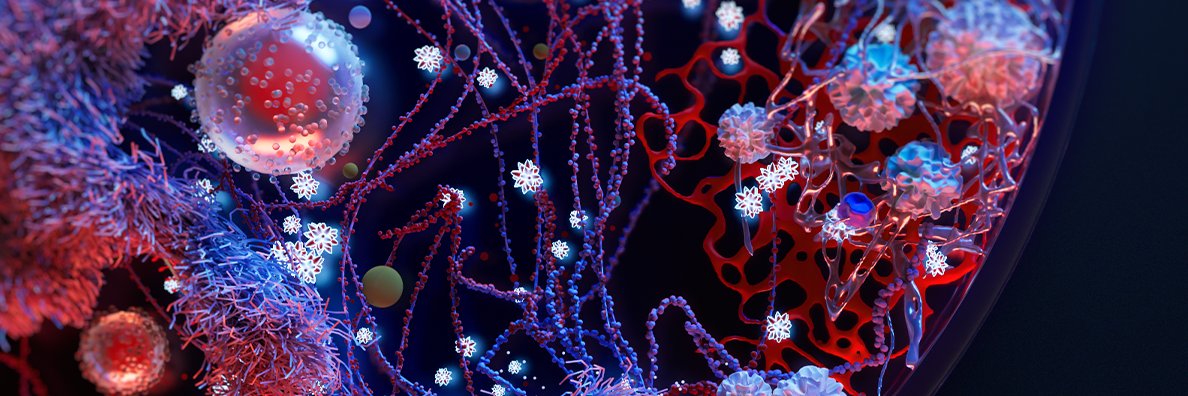Red Nucleus banner