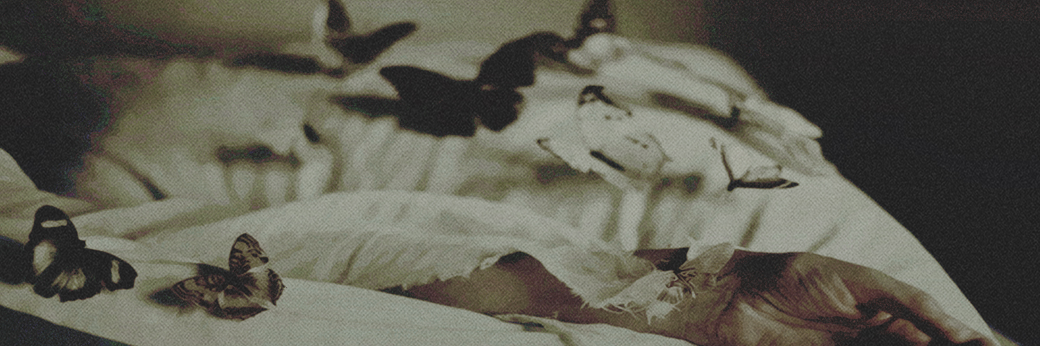 𝓛𝐚𝐞𝐧𝐚 * 𝑡𝘩𝑒 𝑝𝑟𝑜𝑝𝘩𝑒𝑡.'s banner
