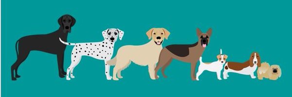 🐩Dogs in the News Profile Banner