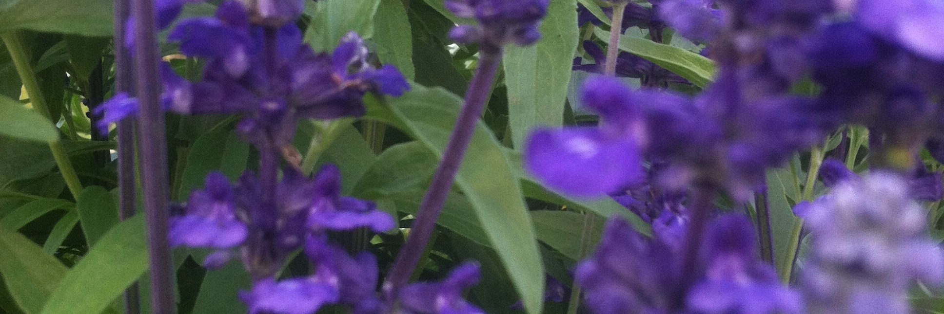 UnicycleGranny's profile banner image