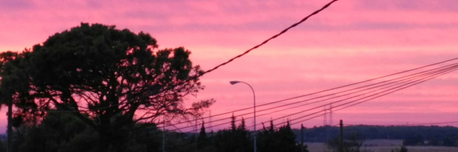 _melannni's profile banner image