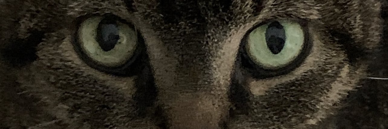 sballalien's profile banner image