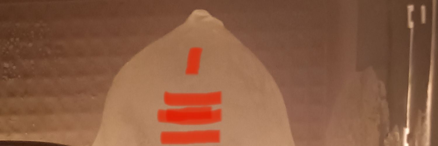 Jsg-citizen banner