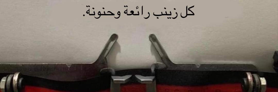 زينب عبده banner