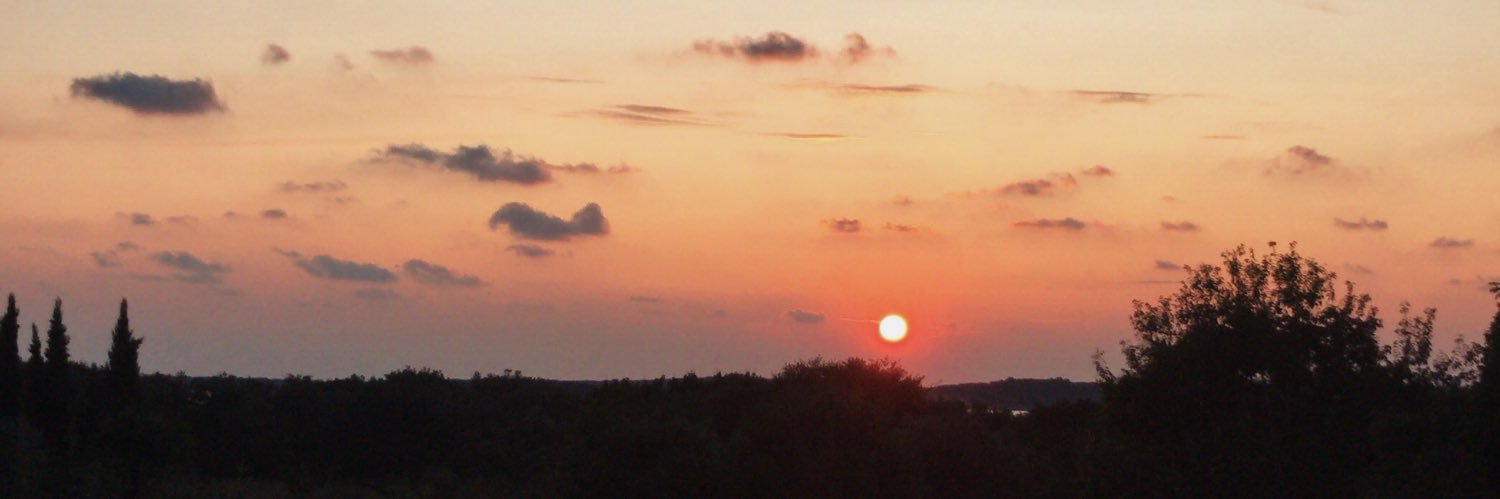 Virali23's profile banner image