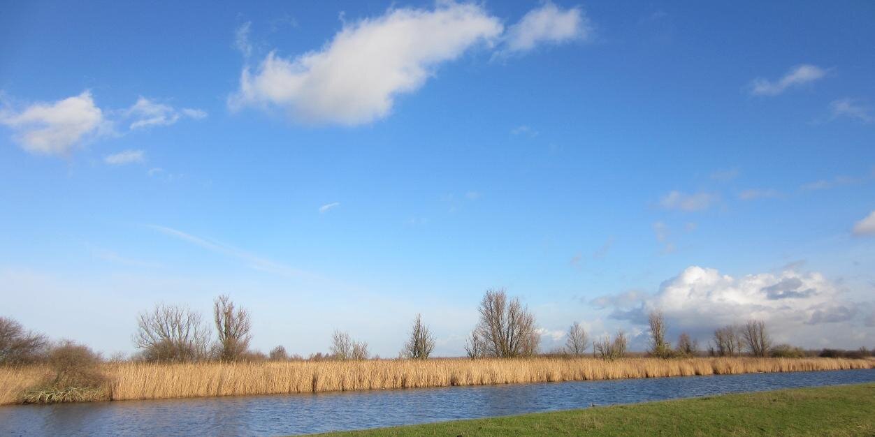 ReinaFoppen's profile banner image
