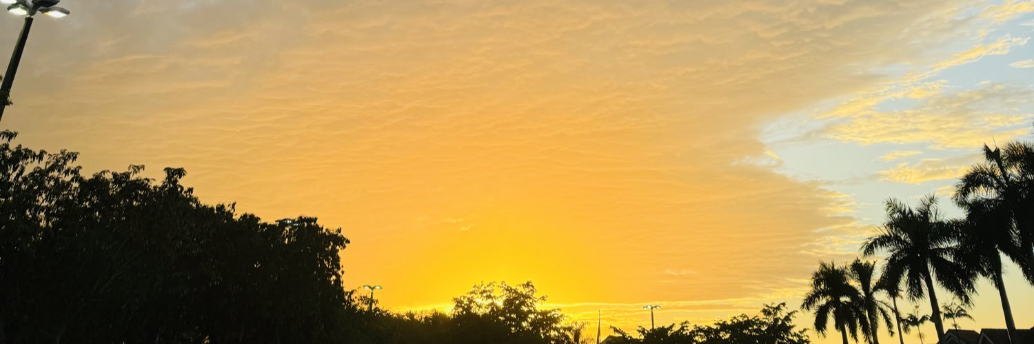 mjmedinav's profile banner image