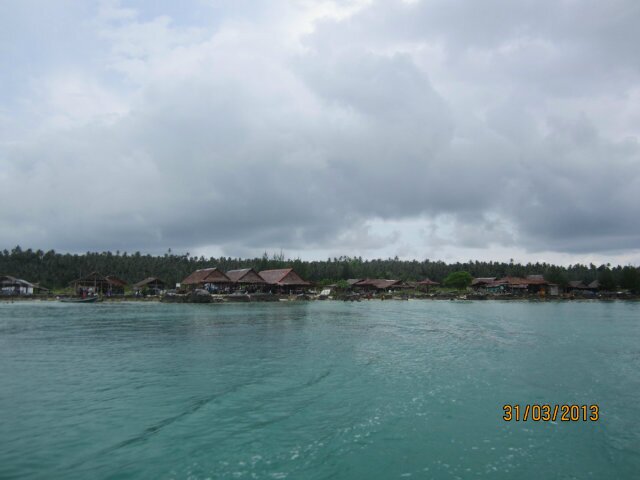 marini_tri's profile banner image