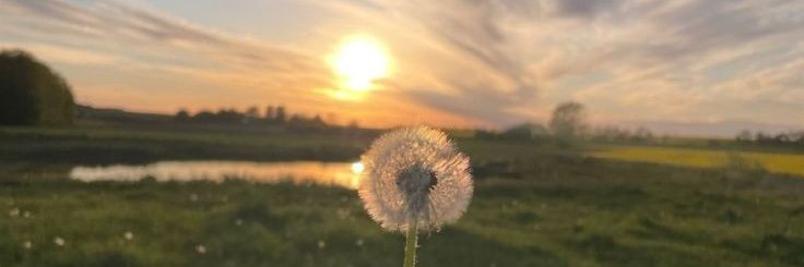 ajoenhoey's profile banner image