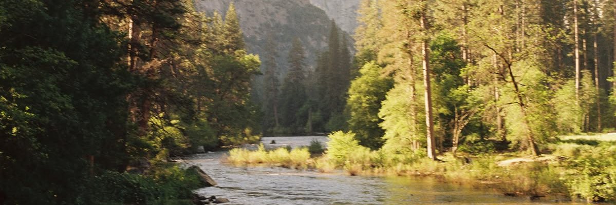 homeymice's profile banner image