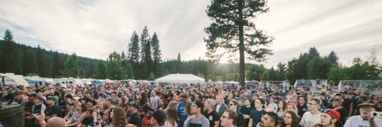 adiello's profile banner image