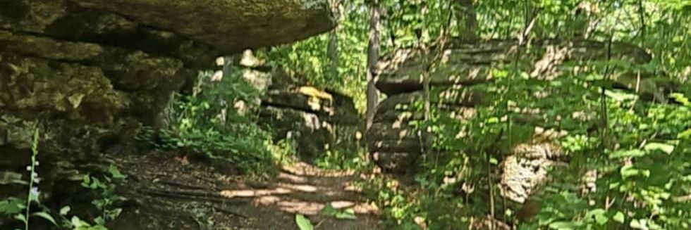 Flatch Gordon banner