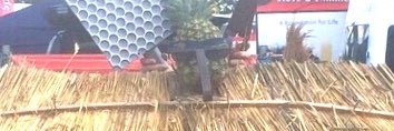 Thatch Thatching banner