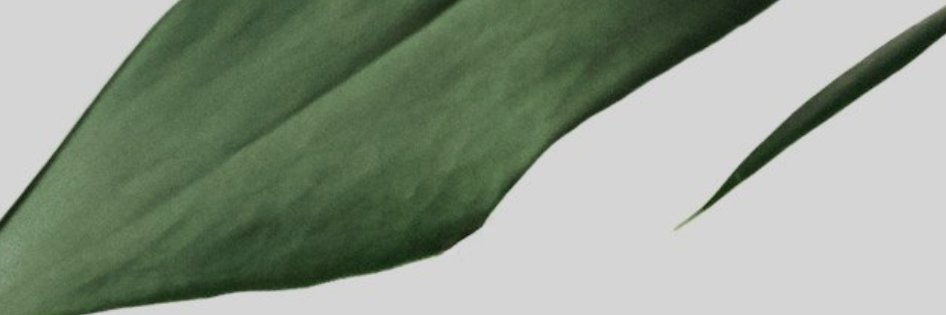 ali_taks's profile banner image