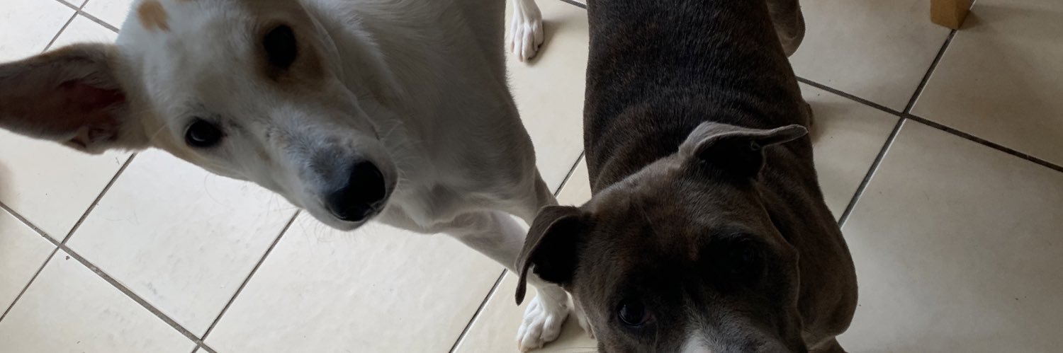 🏴󠁧󠁢󠁥󠁮󠁧󠁿Sara 🏴󠁧󠁢󠁥󠁮󠁧󠁿 banner