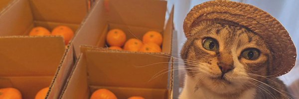 amakisama Profile Banner