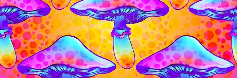 NickiVanityy's profile banner image