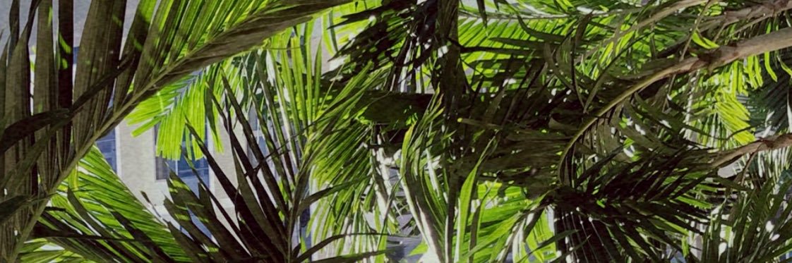 trevieetrev's profile banner image