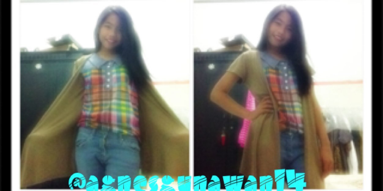 agnesgunawan1's profile banner image