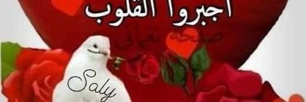 zadzaid4 Profile Banner