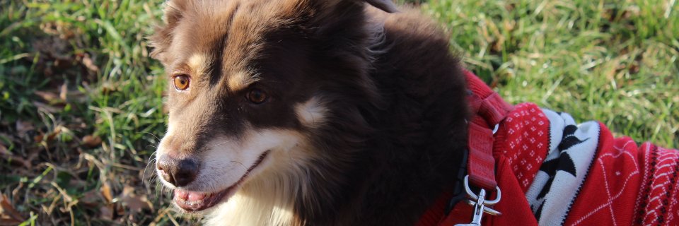 prsun's profile banner image