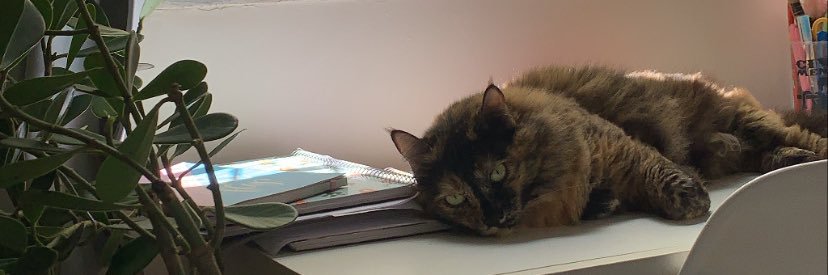 HindersJulia's profile banner image