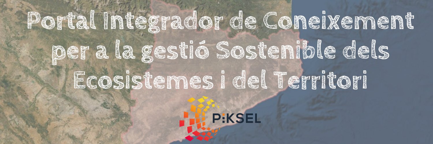 Projecte PIKSEL banner