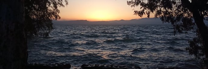 Samy Zelikson banner