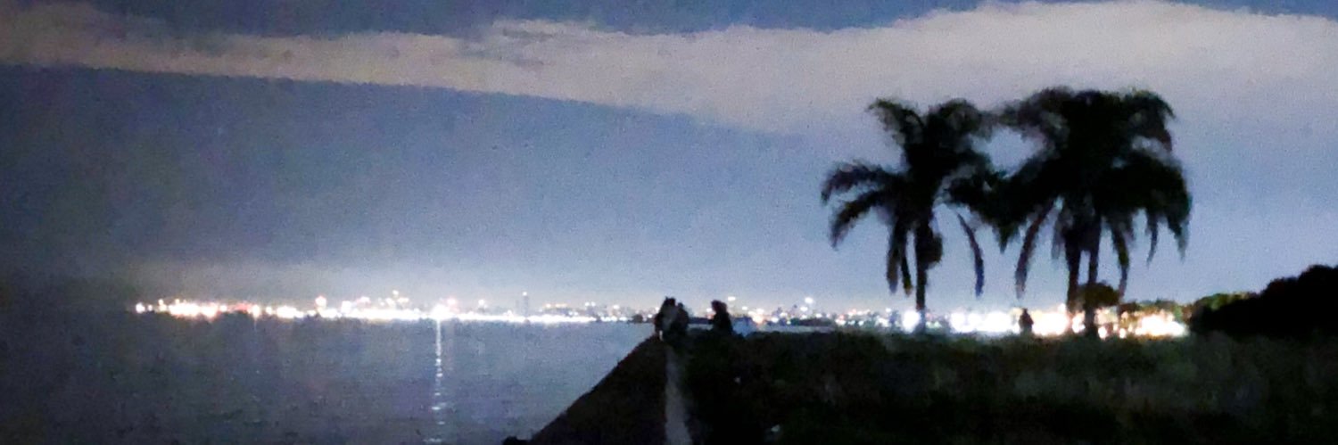 Contrafarsa1's profile banner image