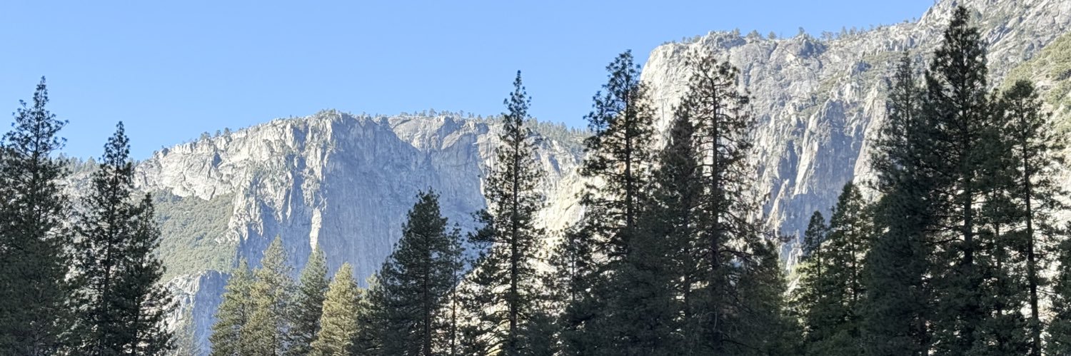 barbflood's profile banner image