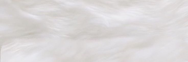ゆうゆ banner