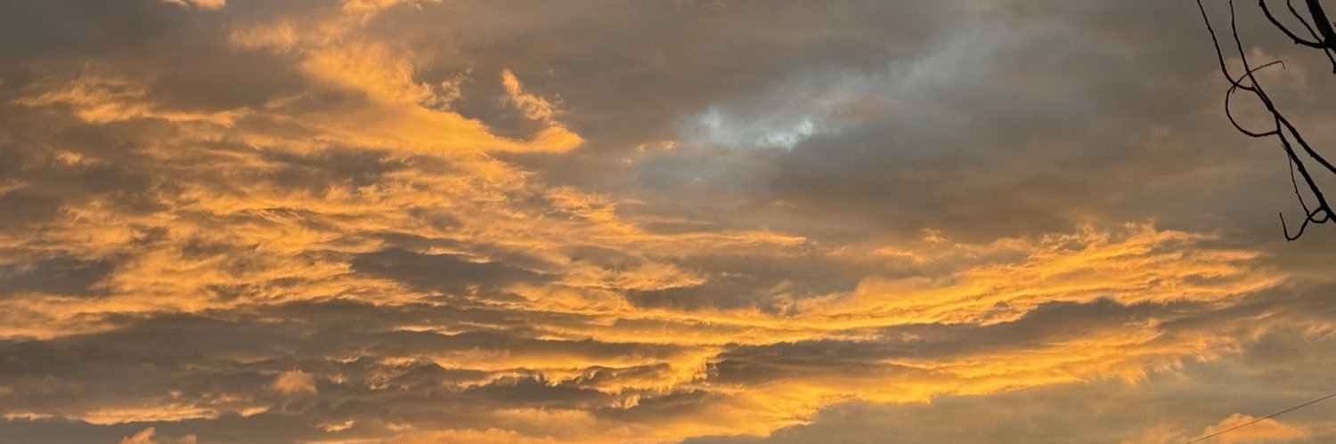 searfus's profile banner image