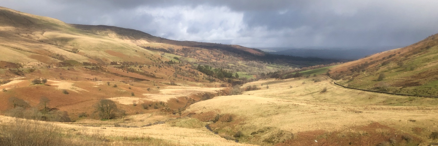 Adrian 🇬🇧 banner