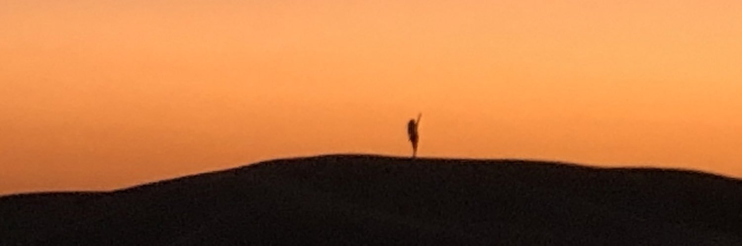___Whalien52's profile banner image