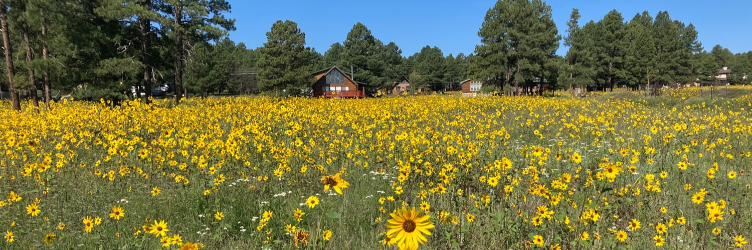 Judy 🇺🇸🇺🇦🌊🌊🌊🌵 banner