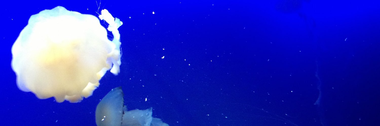 acidism's profile banner image