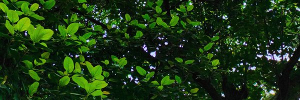 nazmlislm Profile Banner